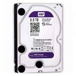 Western Digital 8TB 3.5" PURPLE Surveillance HDD