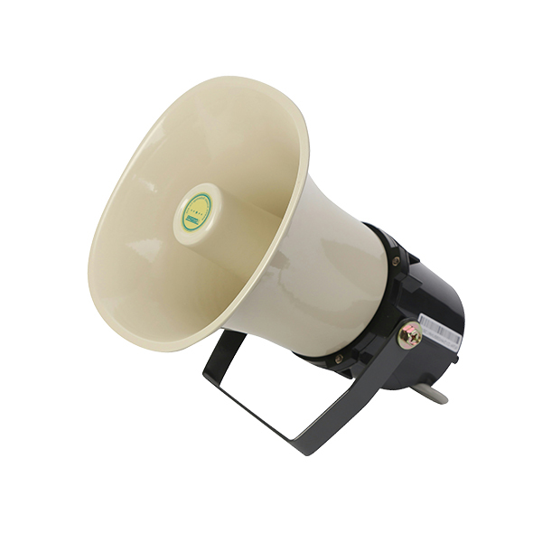 dsp154h-hors-speaker-1.jpg
